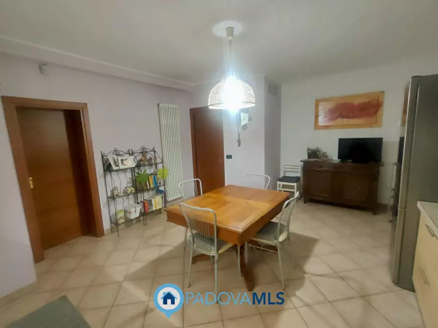 Immagine 13 di Appartamento in vendita  in via San Leopoldo a Noventa Padovana