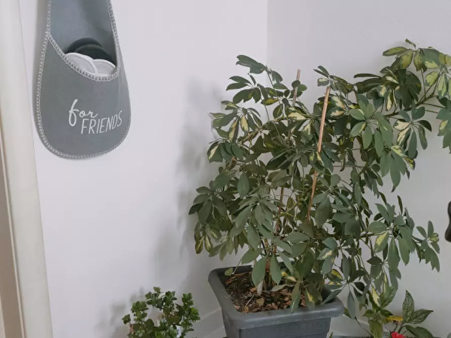 Immagine 6 di Appartamento in vendita  in Via Martiri di Belfiore a Rovigo