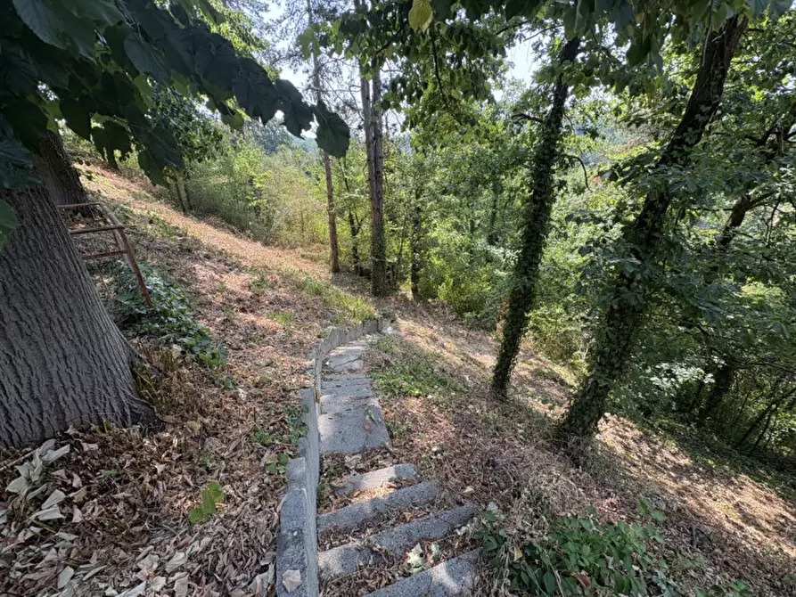 Immagine 22 di Casa indipendente in vendita  in Località Villa Superiore 47 a Monteu Roero