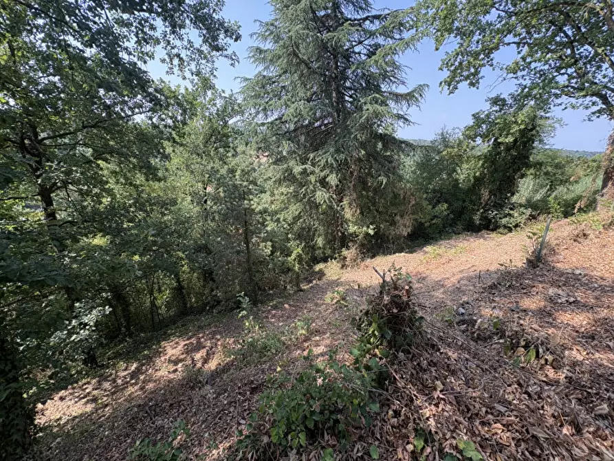 Immagine 23 di Casa indipendente in vendita  in Località Villa Superiore 47 a Monteu Roero