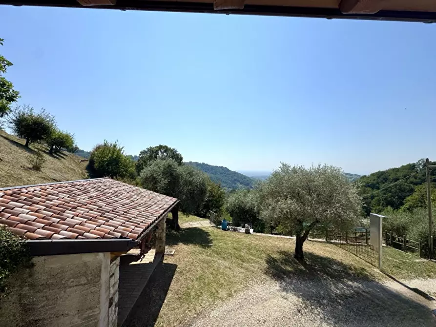 Immagine 16 di Rustico / casale in vendita  in via salbeghi a Salcedo