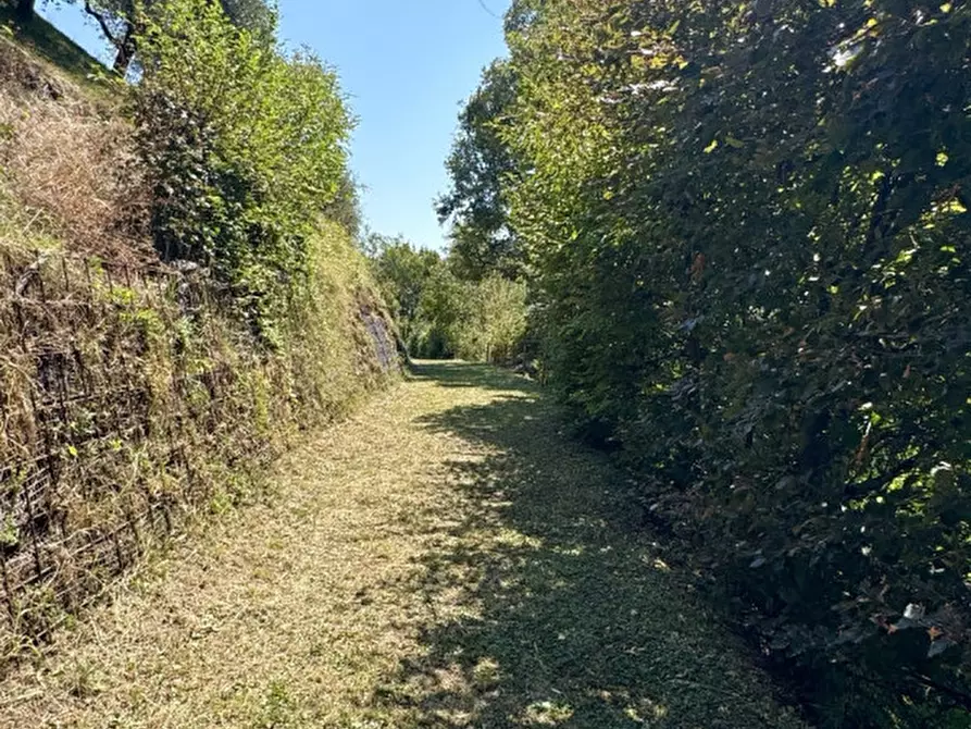 Immagine 36 di Rustico / casale in vendita  in via salbeghi a Salcedo