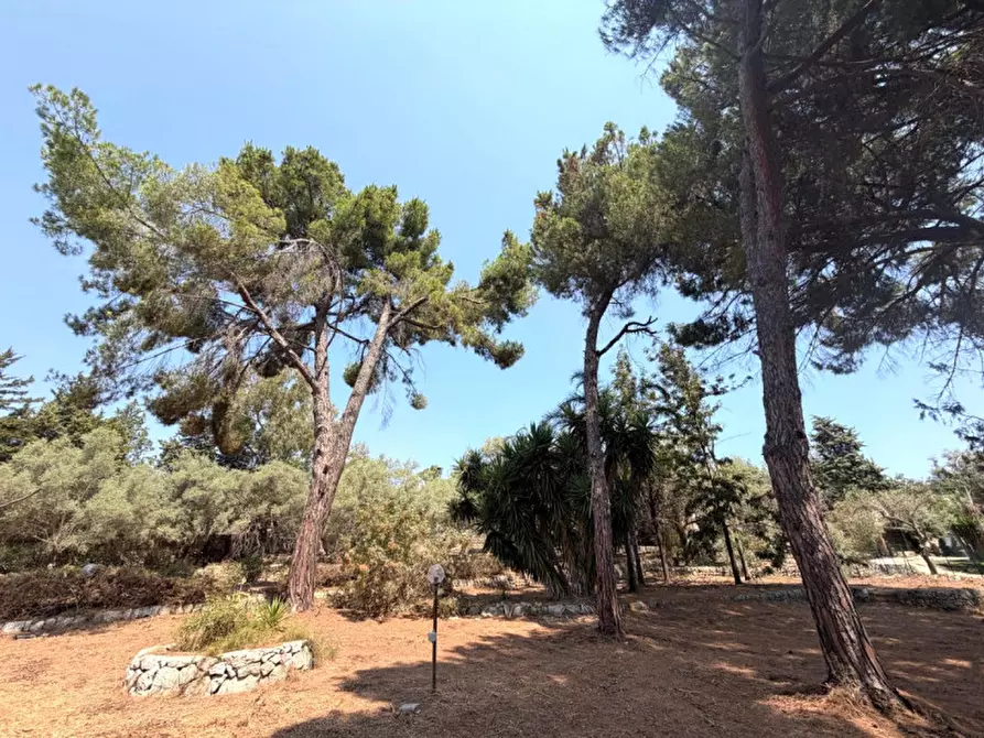 Immagine 4 di Villa in vendita  in viale epipoli 247 a Siracusa