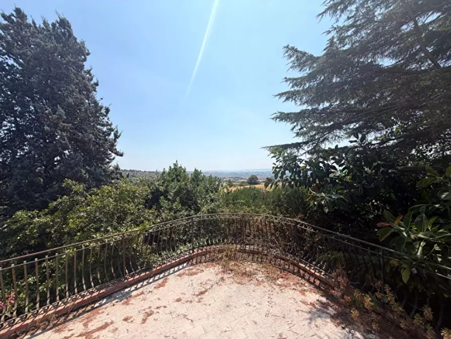 Immagine 29 di Villa in vendita  in viale epipoli 247 a Siracusa