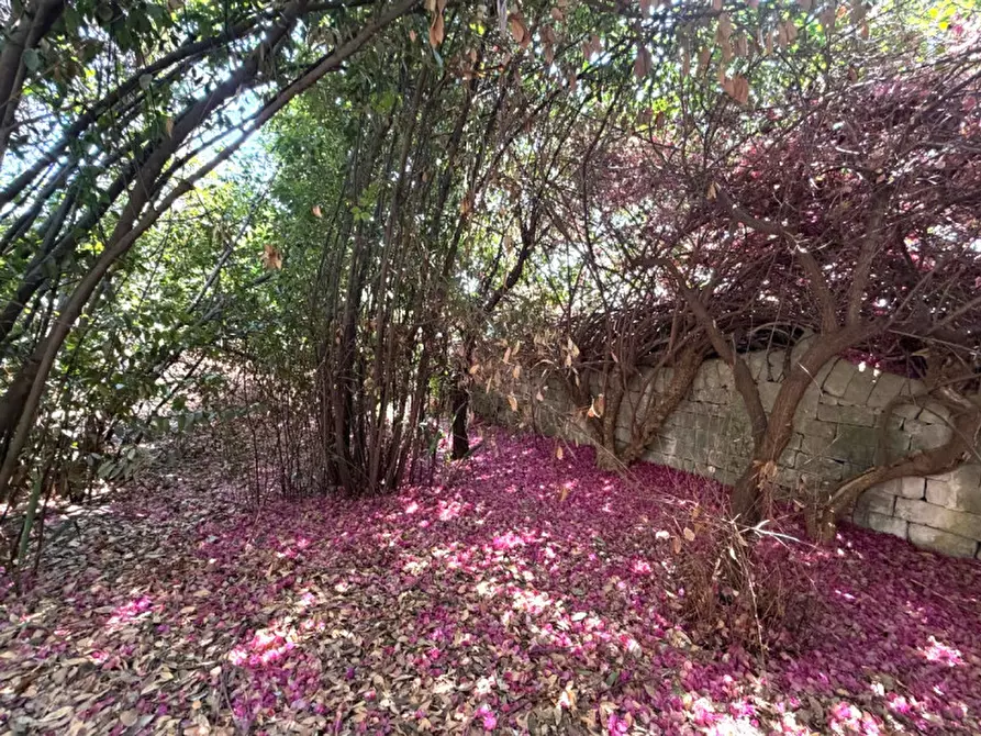 Immagine 53 di Villa in vendita  in viale epipoli 247 a Siracusa