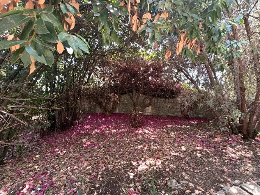 Immagine 54 di Villa in vendita  in viale epipoli 247 a Siracusa