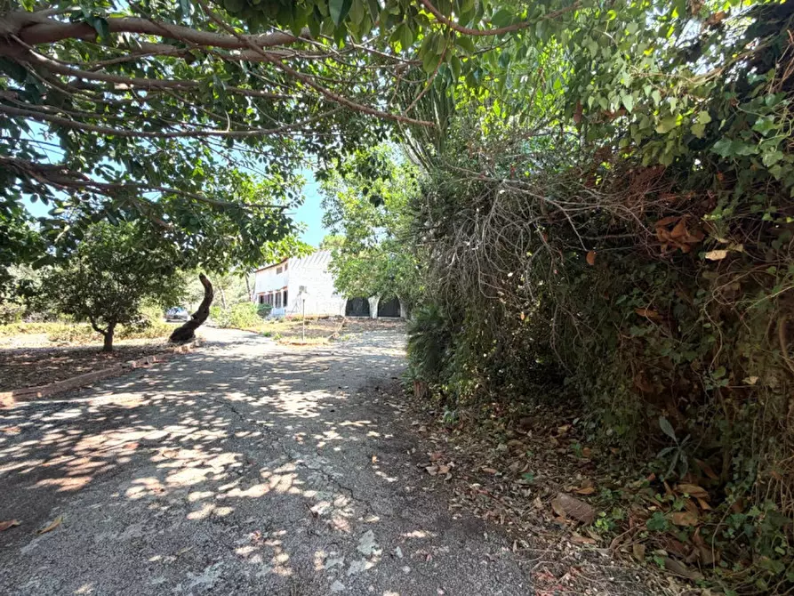 Immagine 60 di Villa in vendita  in viale epipoli 247 a Siracusa