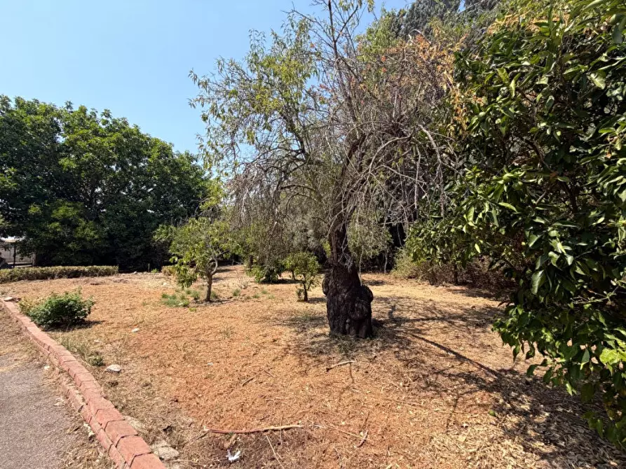 Immagine 63 di Villa in vendita  in viale epipoli 247 a Siracusa