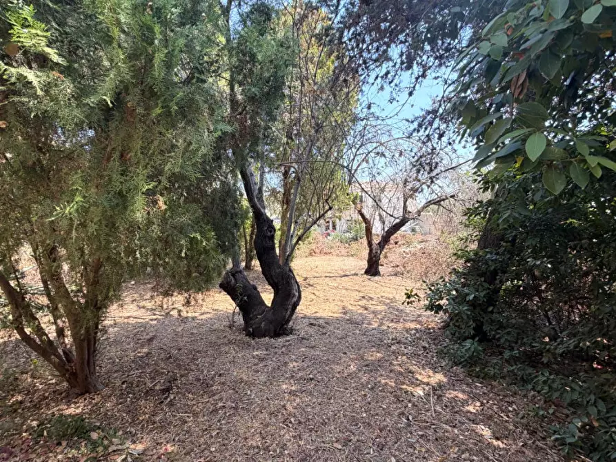 Immagine 64 di Villa in vendita  in viale epipoli 247 a Siracusa