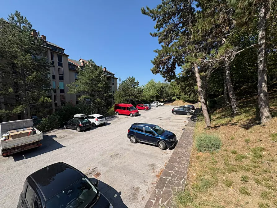 Immagine 3 di Appartamento in vendita  in via Monte Peralba, 21 a Trieste