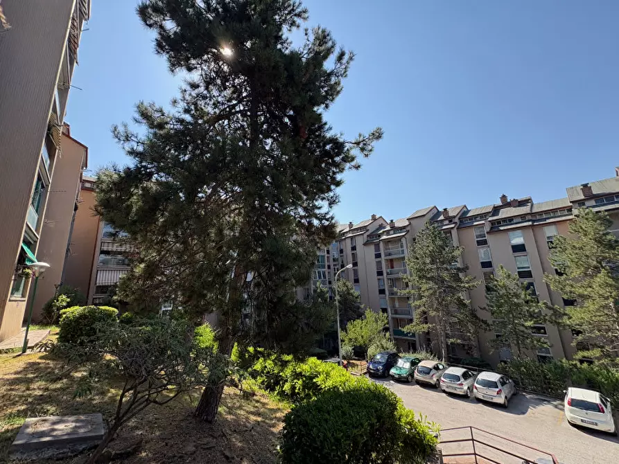 Immagine 5 di Appartamento in vendita  in via Monte Peralba, 21 a Trieste
