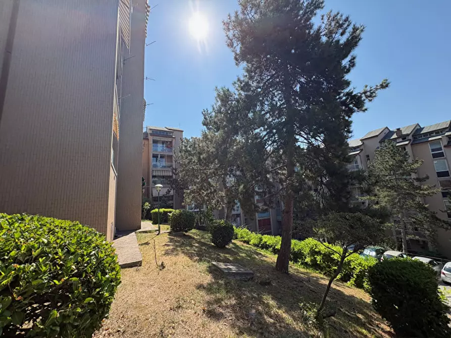 Immagine 6 di Appartamento in vendita  in via Monte Peralba, 21 a Trieste
