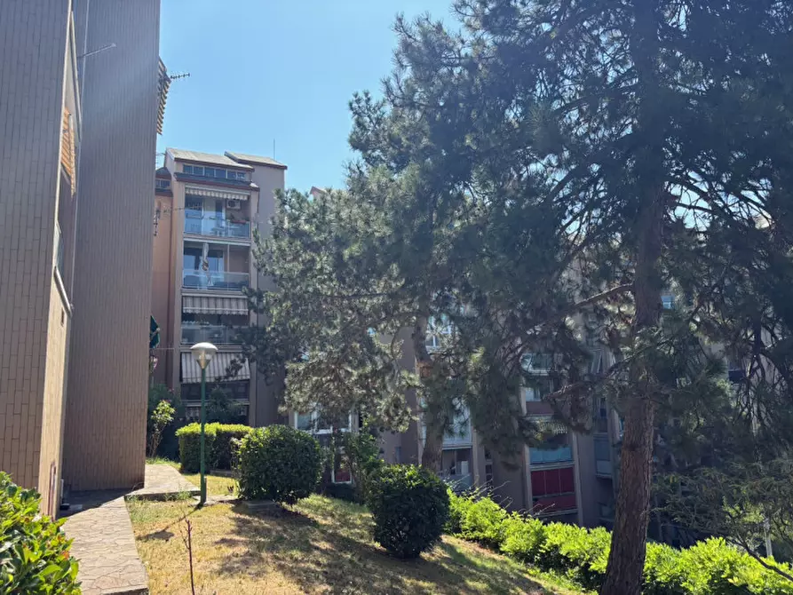 Immagine 7 di Appartamento in vendita  in via Monte Peralba, 21 a Trieste