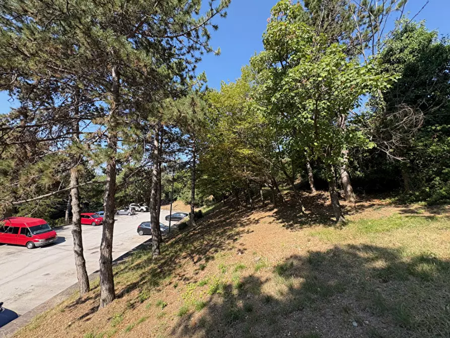 Immagine 8 di Appartamento in vendita  in via Monte Peralba, 21 a Trieste