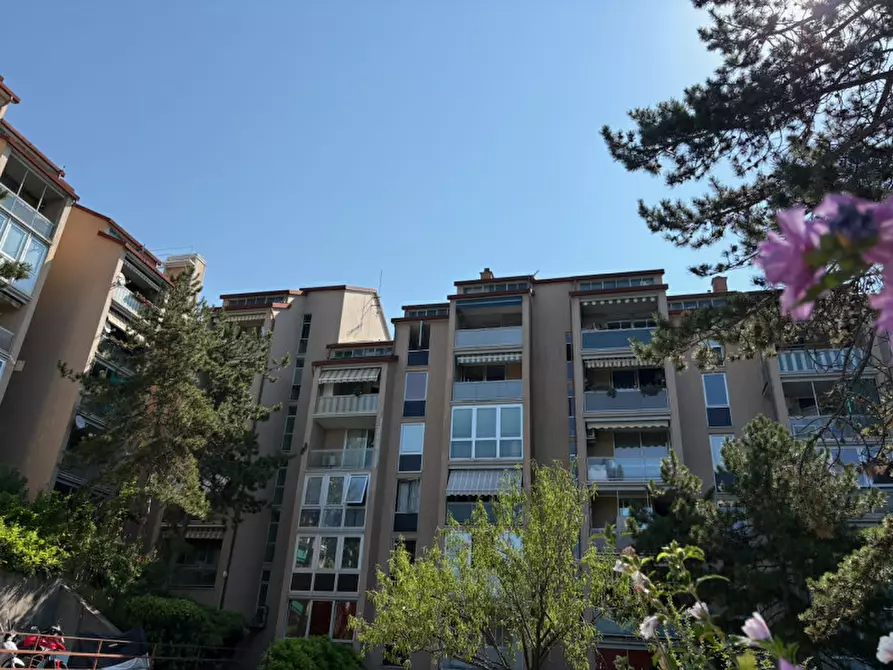 Immagine 9 di Appartamento in vendita  in via Monte Peralba, 21 a Trieste