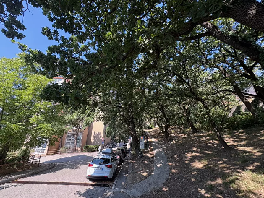 Immagine 11 di Appartamento in vendita  in via Monte Peralba, 21 a Trieste