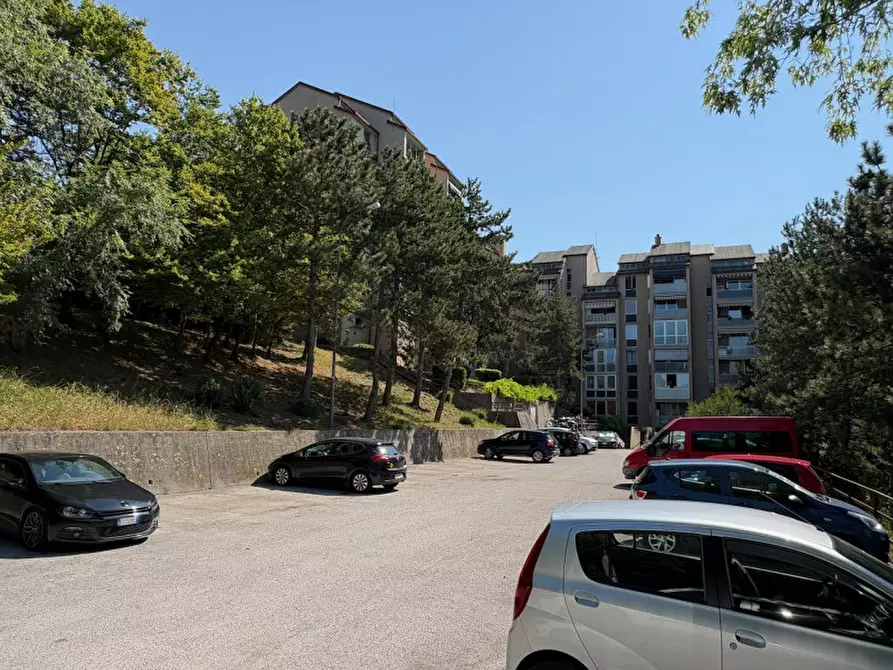 Immagine 13 di Appartamento in vendita  in via Monte Peralba, 21 a Trieste