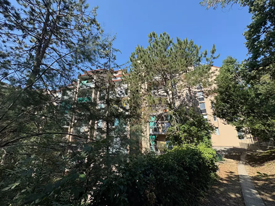 Immagine 33 di Appartamento in vendita  in via Monte Peralba, 21 a Trieste