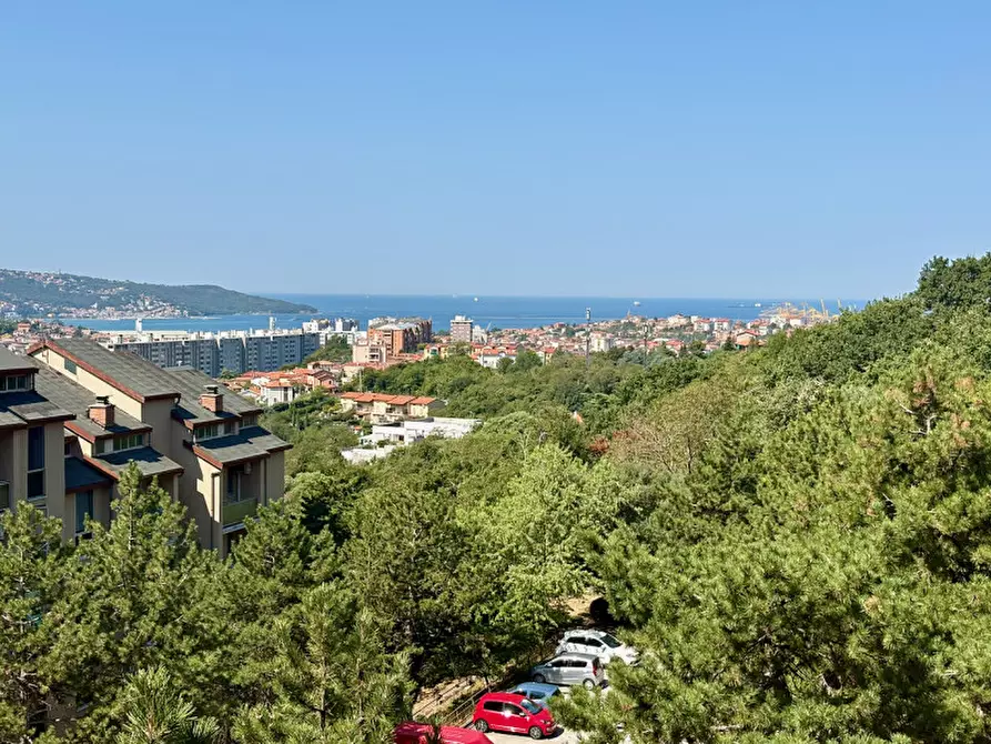 Immagine 39 di Appartamento in vendita  in via Monte Peralba, 21 a Trieste