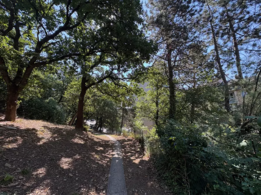Immagine 55 di Appartamento in vendita  in via Monte Peralba, 21 a Trieste