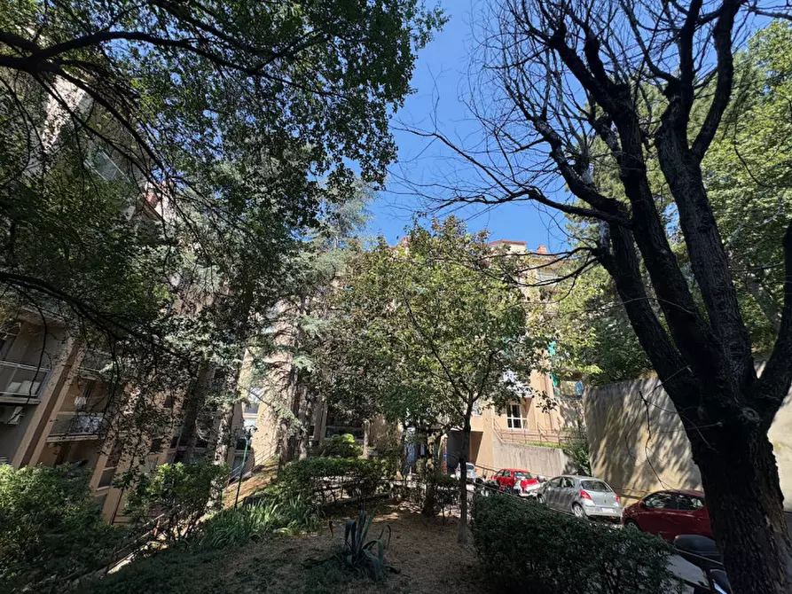 Immagine 88 di Appartamento in vendita  in via Monte Peralba, 21 a Trieste