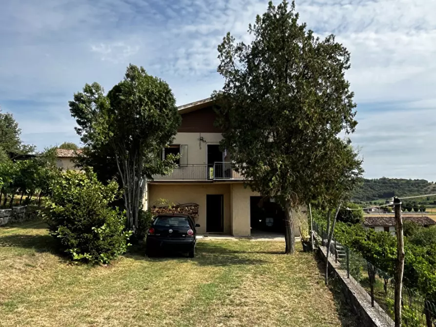 Immagine 4 di Casa indipendente in vendita  in Via Forni a Albettone