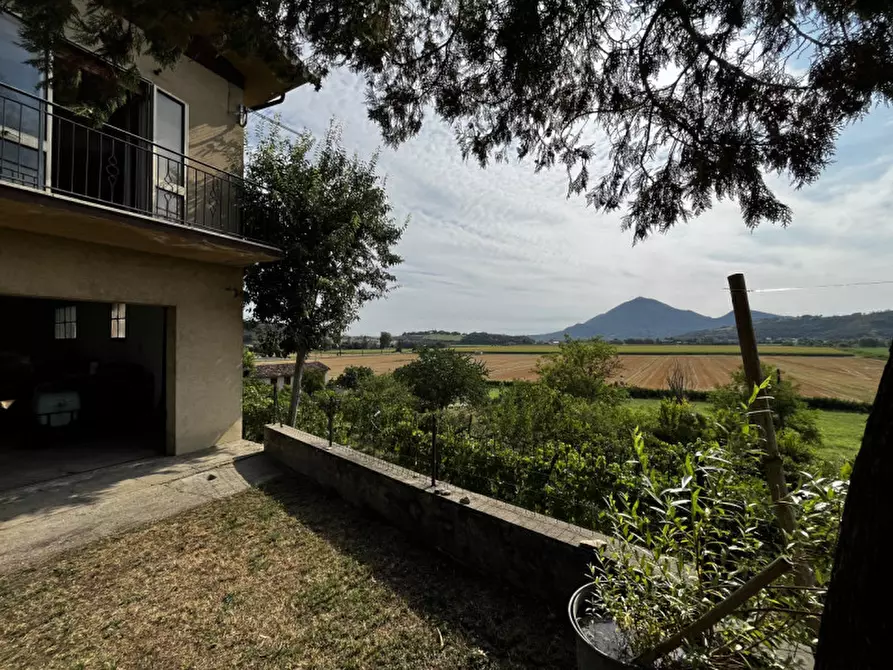 Immagine 5 di Casa indipendente in vendita  in Via Forni a Albettone