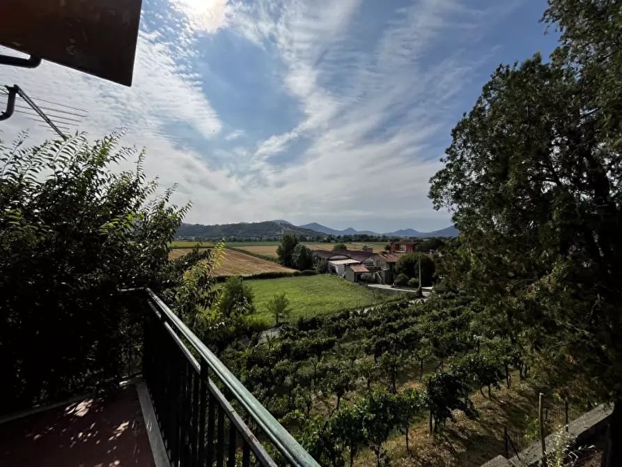 Immagine 9 di Casa indipendente in vendita  in Via Forni a Albettone