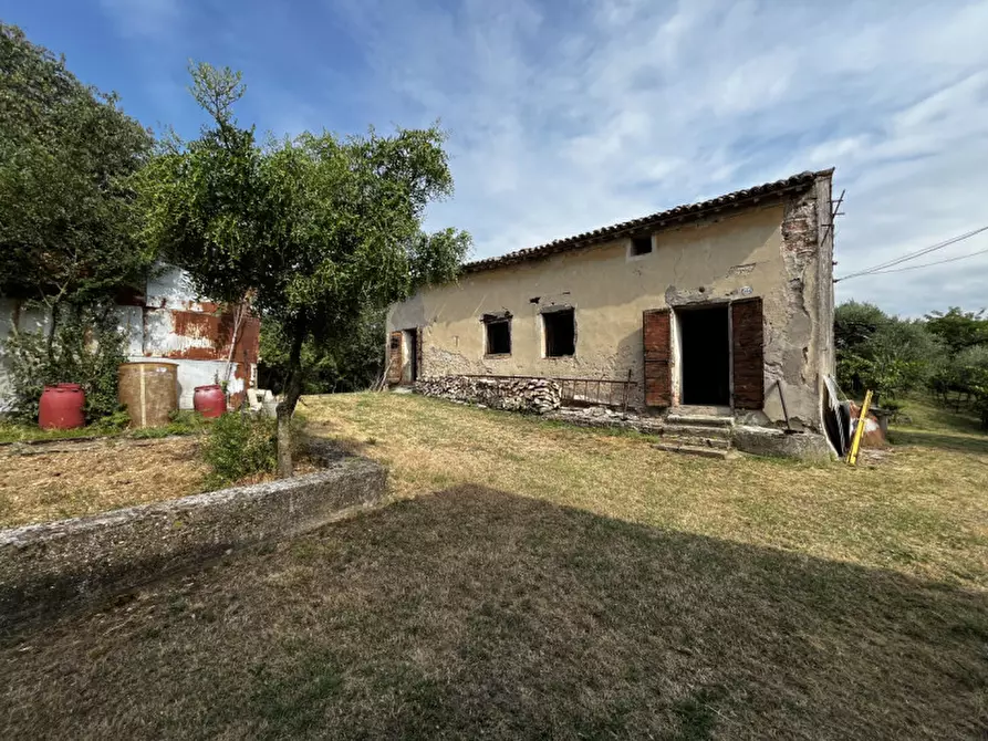 Immagine 24 di Casa indipendente in vendita  in Via Forni a Albettone