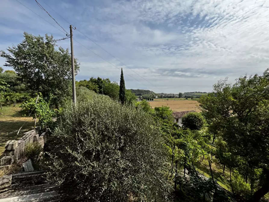 Immagine 31 di Casa indipendente in vendita  in Via Forni a Albettone
