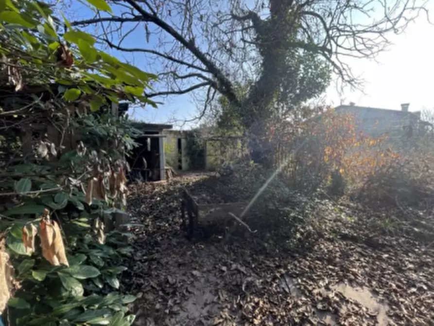 Immagine 2 di Casa indipendente in vendita  in Via Roma, 10 a Altivole