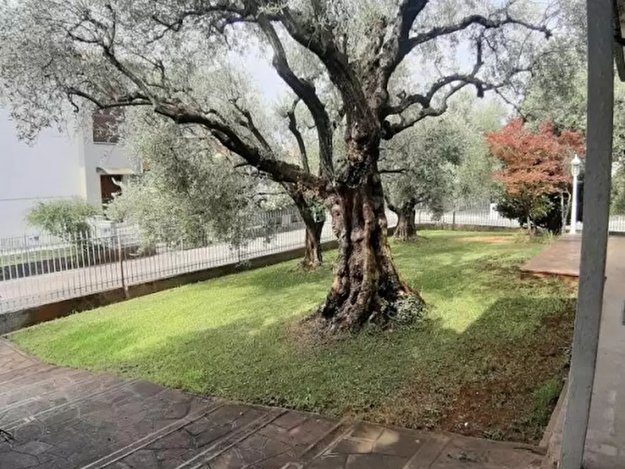 Immagine 3 di Villa in vendita  in Via Gaetano Donizetti a Monselice