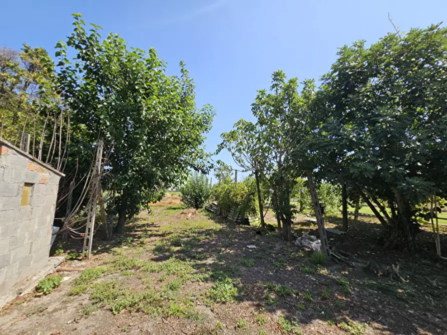 Immagine 19 di Villetta a schiera in vendita  in VIA ORTI a Badia Polesine