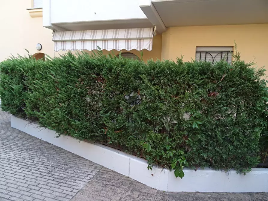 Immagine 14 di Appartamento in affitto  in Via fratelli Ambrogio a Alba