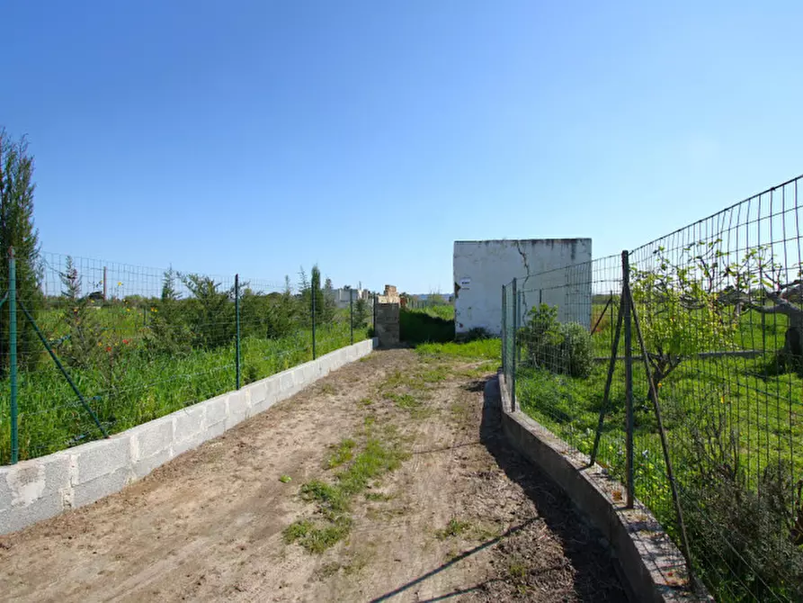 Immagine 1 di Terreno in vendita  in Strada Vicinale Tammali a Matino