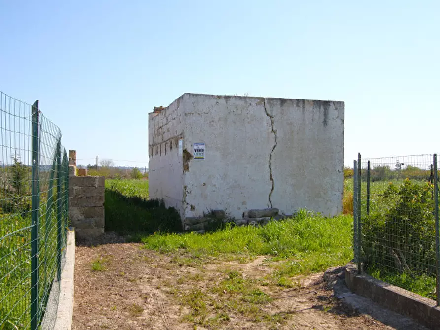 Immagine 19 di Terreno in vendita  in Strada Vicinale Tammali a Matino