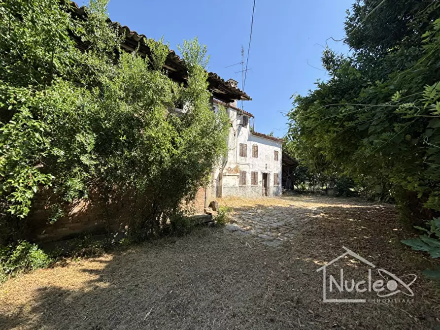 Immagine 3 di Rustico / casale in vendita  a Sant'elena