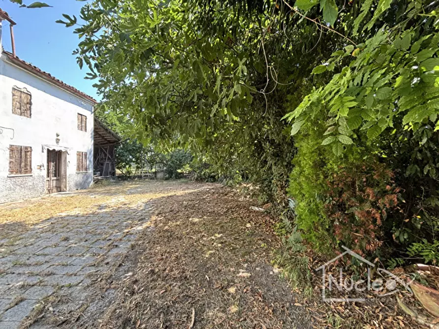 Immagine 4 di Rustico / casale in vendita  a Sant'elena