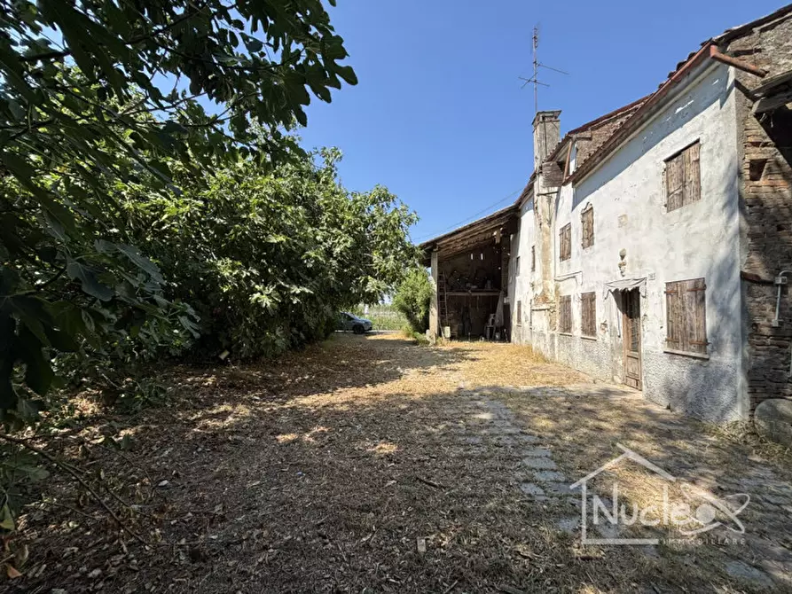 Immagine 7 di Rustico / casale in vendita  a Sant'elena