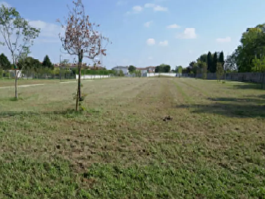 Immagine 3 di Appartamento in vendita  in Viale Michelangelo Grigoletti, 40 a Fontanafredda
