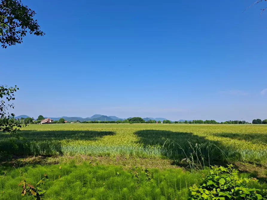 Immagine 1 di Casa bifamiliare in vendita  a Due Carrare