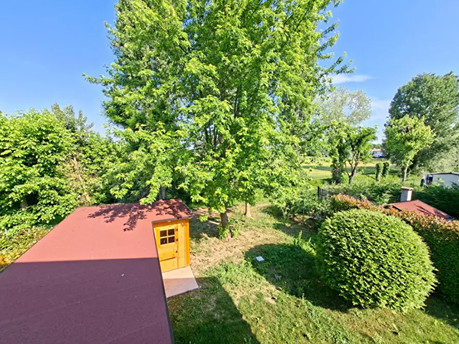 Immagine 4 di Casa bifamiliare in vendita  a Due Carrare