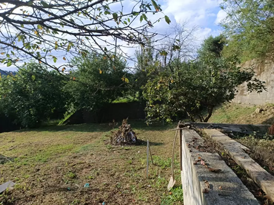 Immagine 14 di Casa indipendente in vendita  in Località Olano a Mallare