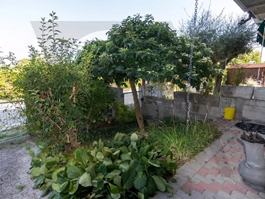 Immagine 3 di Casa bifamiliare in vendita  a Ponte San Nicolò