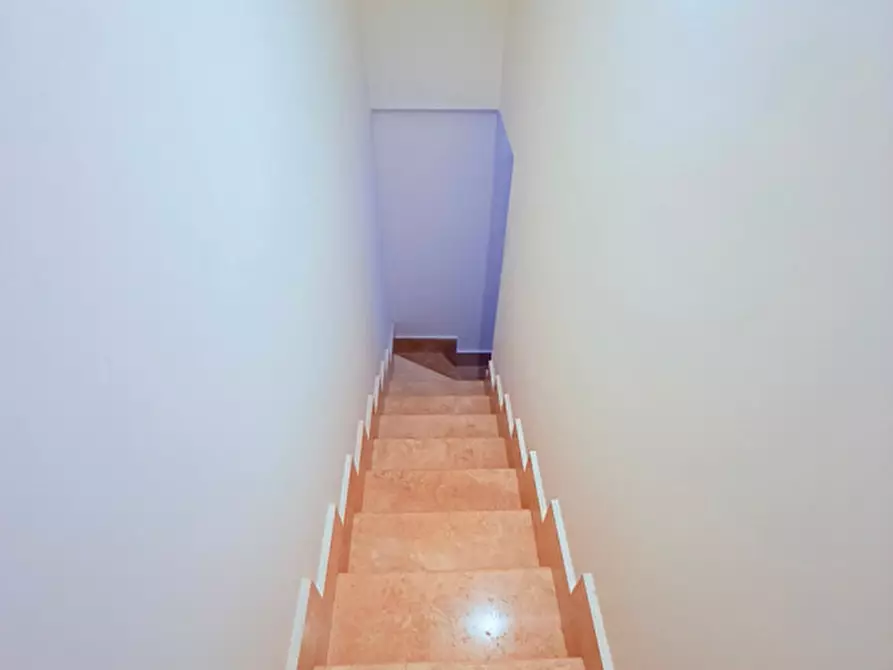 Immagine 45 di Casa trifamiliare in vendita  in via frascati a Rocca Di Papa