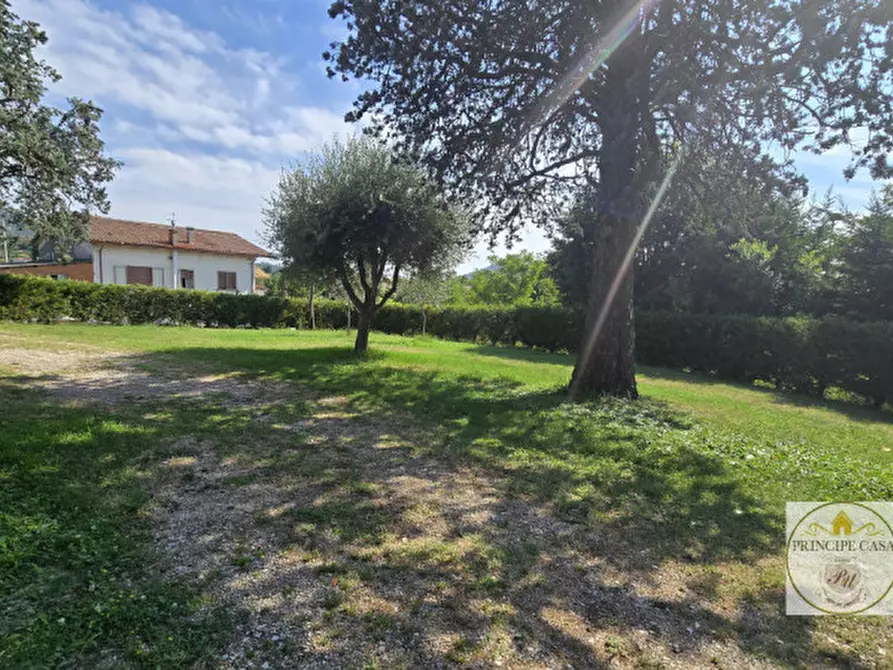 Immagine 6 di Casa bifamiliare in vendita  in via cà mariani a Vo