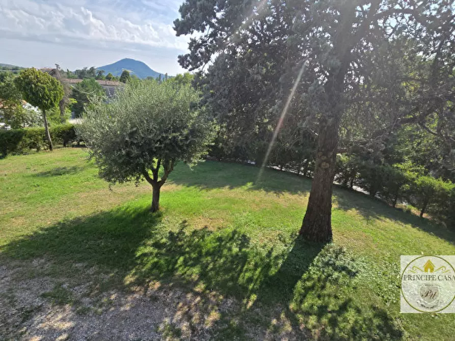 Immagine 26 di Casa bifamiliare in vendita  in via cà mariani a Vo