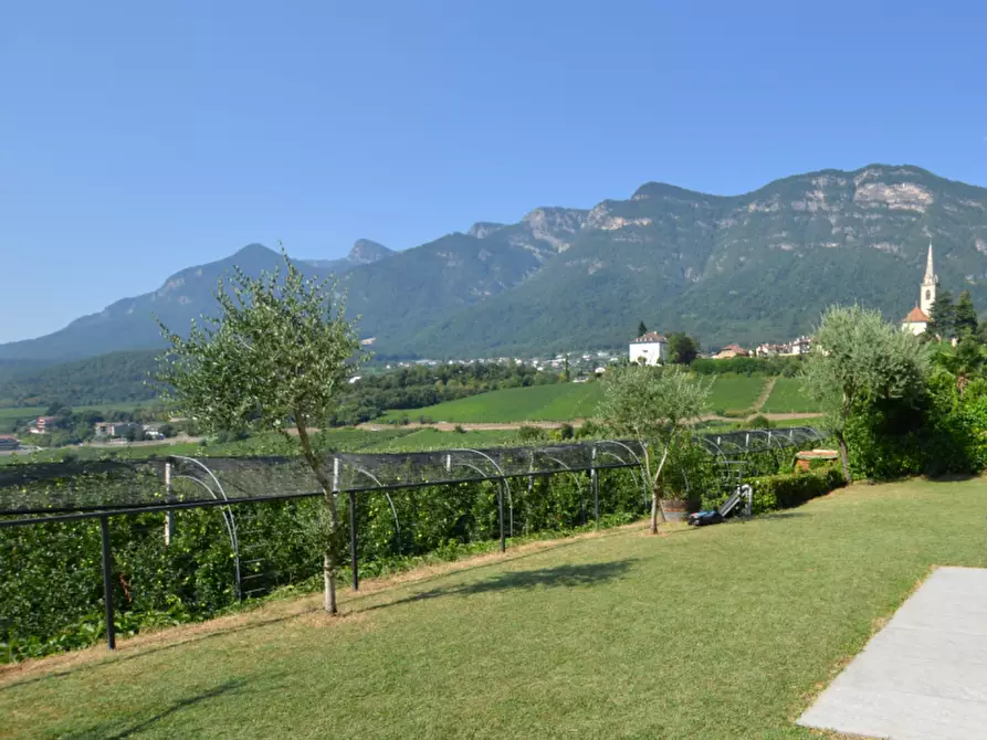 Immagine 1 di Villa in vendita  a Caldaro Sulla Strada Del Vino .Kaltern An De.