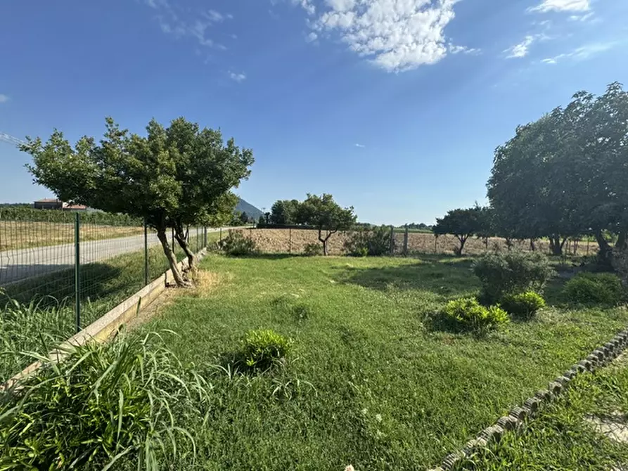 Immagine 2 di Rustico / casale in vendita  a Rovolon