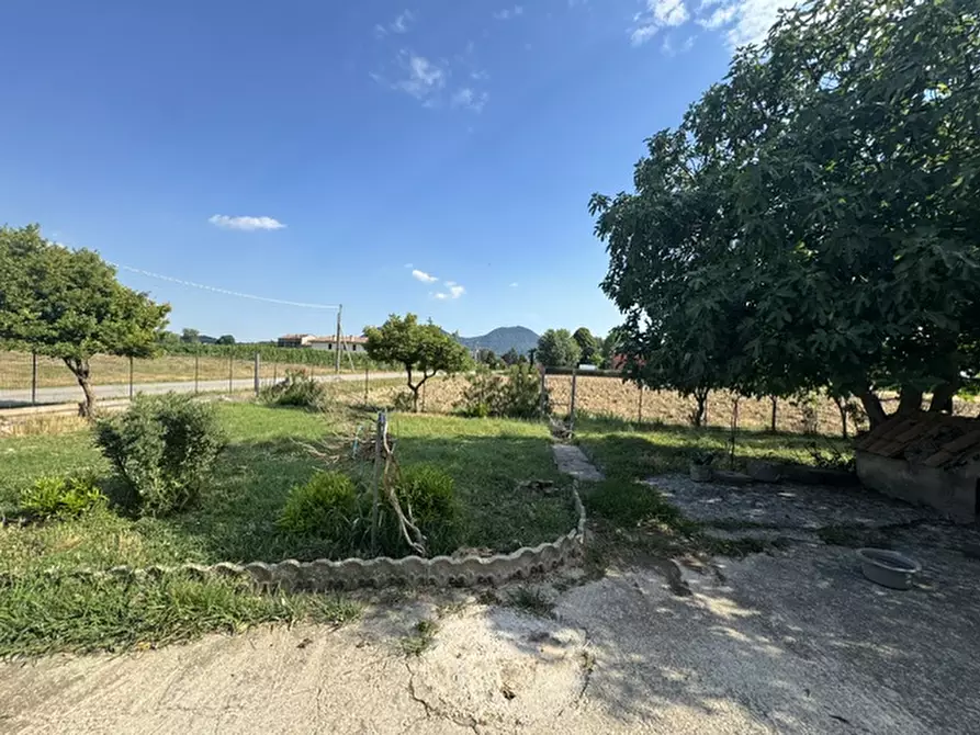 Immagine 3 di Rustico / casale in vendita  a Rovolon
